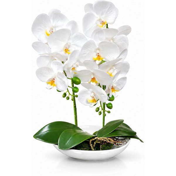 Kunstorchidee PASCH® Orchidee künstlich wie echt in Hochglanz-Keramiktopf Orchidee, PASCH, Hochglanz Keramiktopf