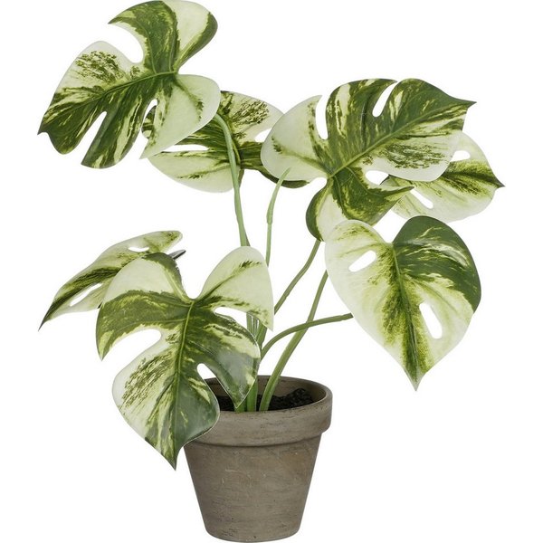Kunstpflanze Mica Decorations Monstera polypropylene 30 x 24, Mica Decorations