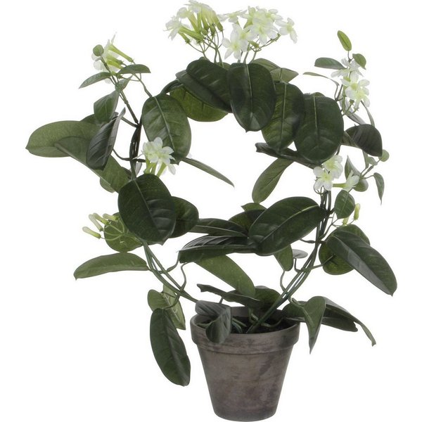 Kunstpflanze Mica Decorations Stephanotis in Topf polyester 50, Mica Decorations