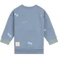 Lässig Sweatshirt Skateboards