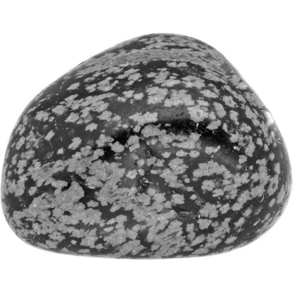 Lebensquelle Plus Edelstein Schneeflockenobsidian Trommelstein