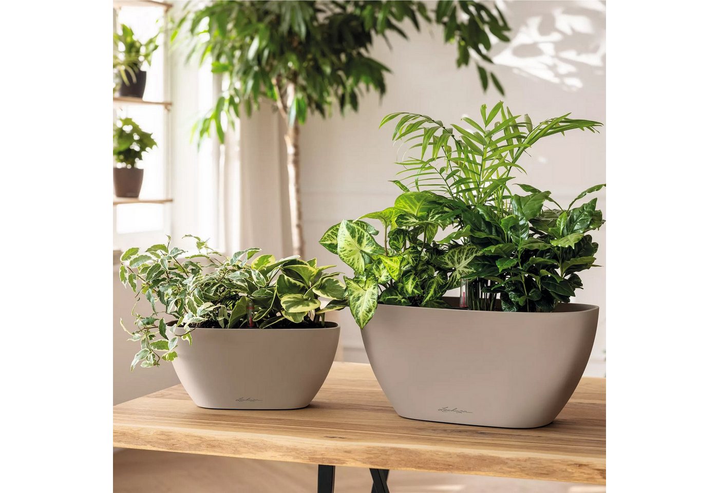 Lechuza® Blumentopf NAVIO Color 10, schiefergrau – Bild 3 von 5