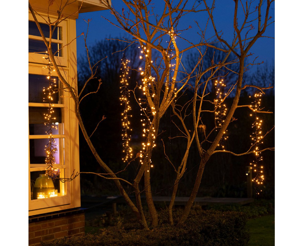 Lumineo LED-Lichterkette Lumineo, Baumbeleuchtung CLUSTER TWINKLE 480 LED Soft Gold, 6 Stränge, 8 Twinkle-Modi, 8h-Timer, Indoor/Outdoor – Bild 4 von 5