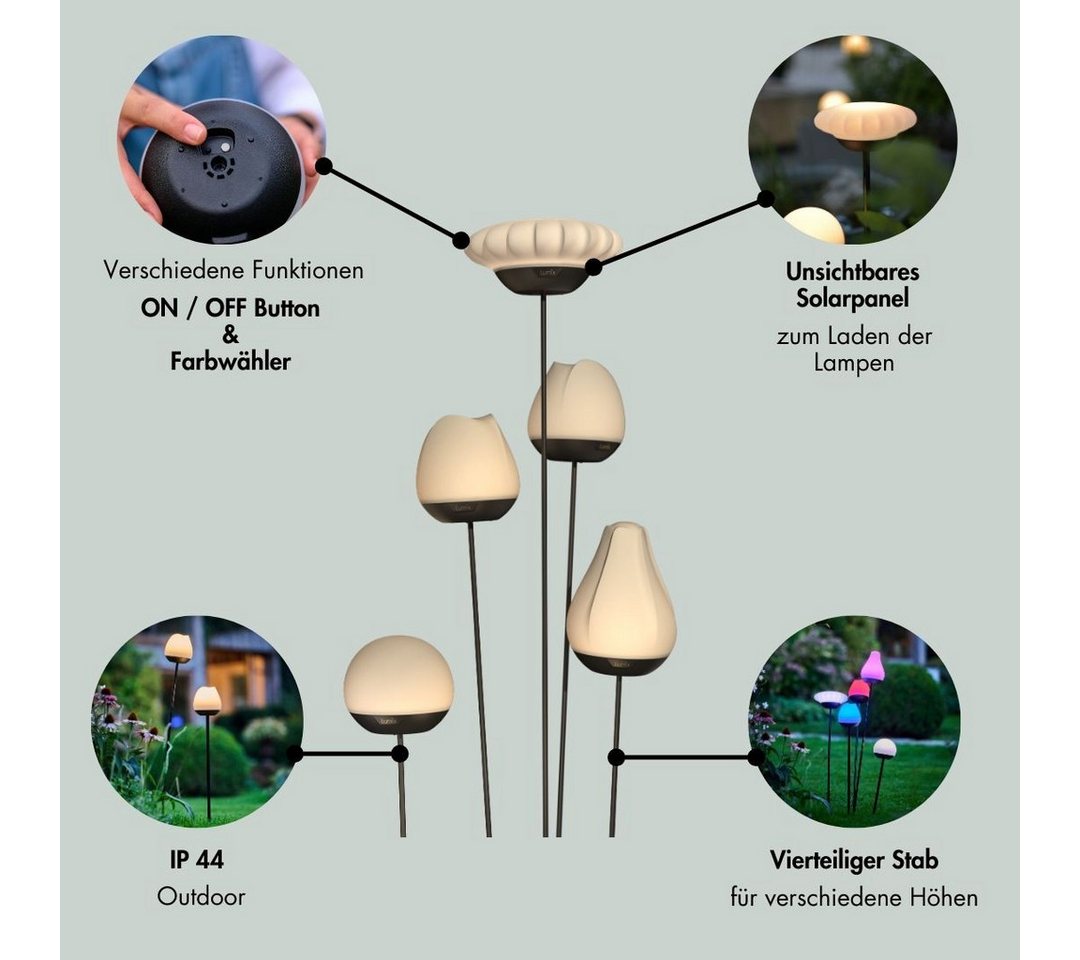 lumix LED Solarleuchte LUMIX Solar Flower Rosy, Farbwechsel, LED, Farbwechsel, Kaltweiß, Warmweiß, Solarlampe mit innenliegendem Solarpanel – Bild 3 von 5