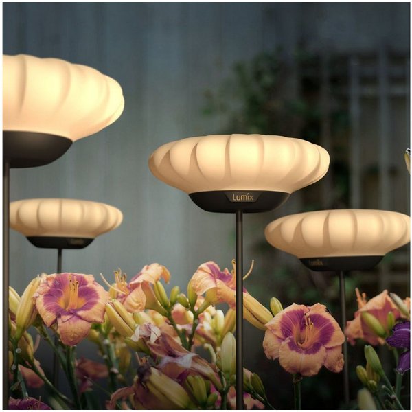 lumix LED Solarleuchte LUMIX Solar Flower Sunny, Farbwechsel, LED, Warmweiß, Kaltweiß, Farbwechsel, Solarlampe mit innenliegendem Solarpanel