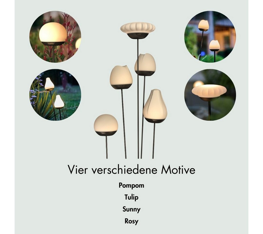 lumix LED Solarleuchte LUMIX Solar Flower Sunny, Farbwechsel, LED, Warmweiß, Kaltweiß, Farbwechsel, Solarlampe mit innenliegendem Solarpanel – Bild 4 von 5