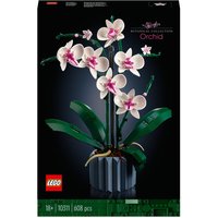 Orchidee