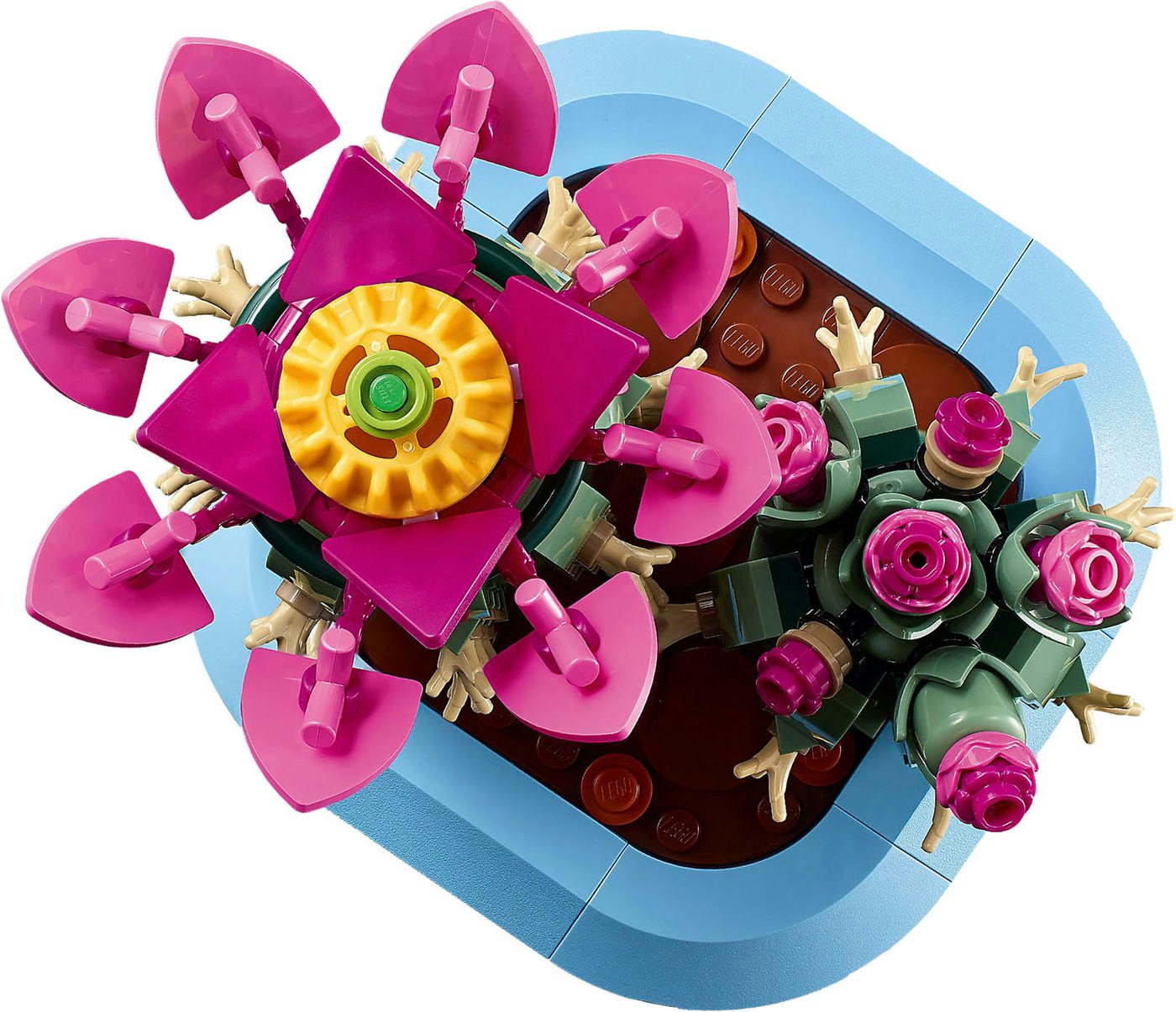 LEGO® Blühender Kaktus (11509), LEGO Botanicals Konstruktionsspielsteine, (482 St), Made in Europe – Bild 5 von 5