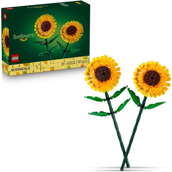 Sonnenblumen