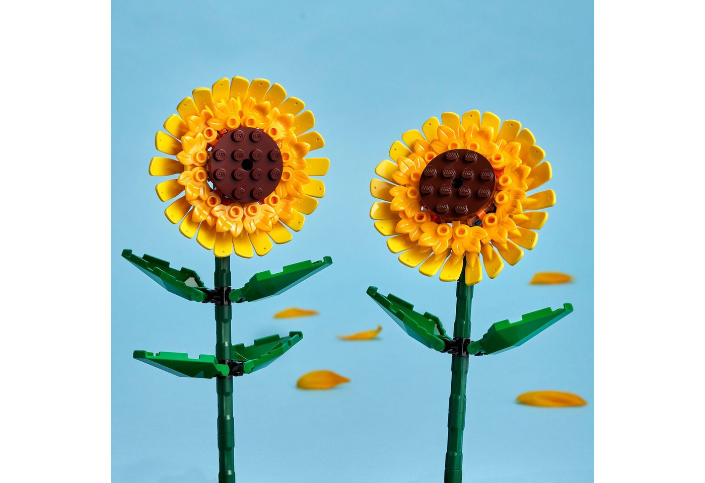 LEGO® Sonnenblumen (40524), LEGO Botanicals Konstruktionsspielsteine, (191 St), Made in Europe – Bild 3 von 5