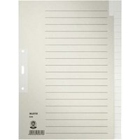 Leitz Register aus Tauenpapier blanko, 223 x 300 mm