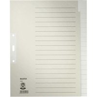 Leitz Register aus Tauenpapier blanko, A4 Überbreite