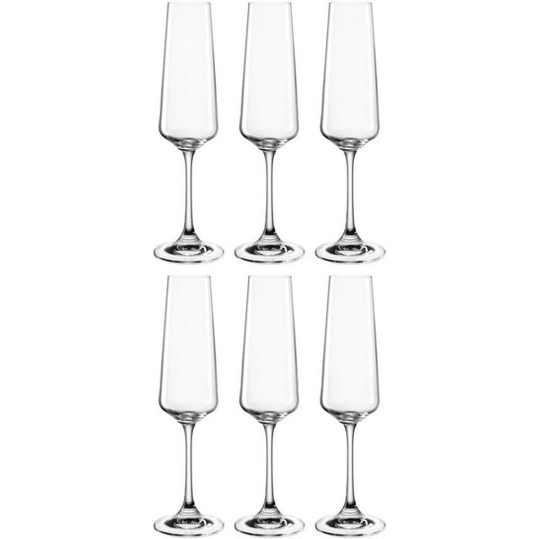 LEONARDO Sektglas Gläser-Set PALADINO, 220 ml, 6er-Set, 6-tlg., Kristallglas, spülmaschinengeeignet