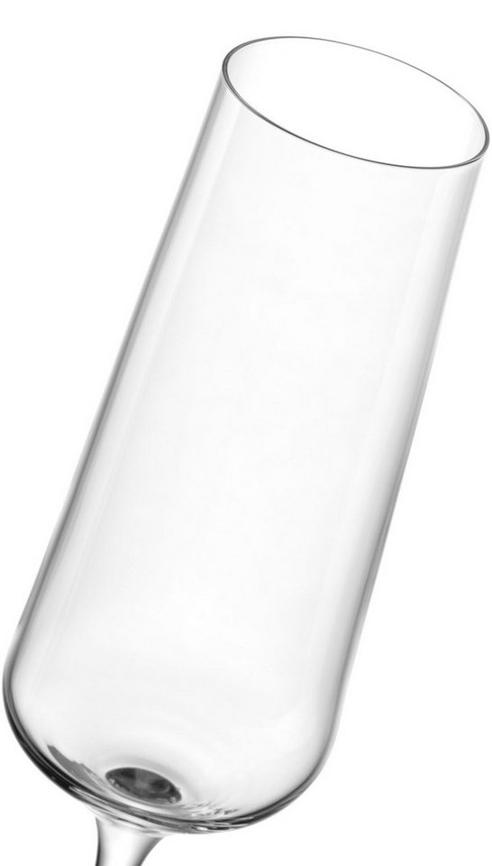 LEONARDO Sektglas Gläser-Set PALADINO, 220 ml, 6er-Set, 6-tlg., Kristallglas, spülmaschinengeeignet – Bild 4 von 5