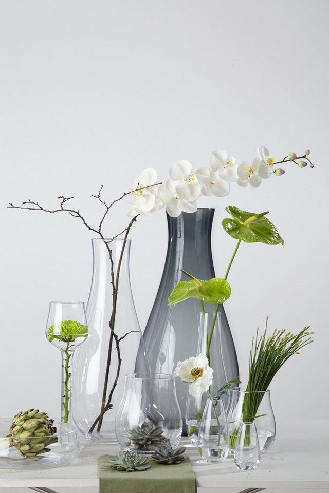 LEONARDO Windlicht Kerzenhalter GIARDINO, für Stumpenkerzen (1 St), Vase aus Glas, Spülmaschinenfest – Bild 3 von 5