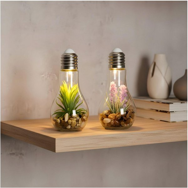 Levandeo® LED Dekoobjekt, 2er Set Sukkulenten Glühbirne Glas je B x H 8 x 19cm Deko LED Lampe