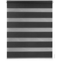 LICHTBLICK Duo Rollo Klemmfix, Anthrazit, 80x150 cm