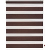 LICHTBLICK Duo Rollo Klemmfix, ohne Bohren (Dunkelbraun, 90x220 cm)