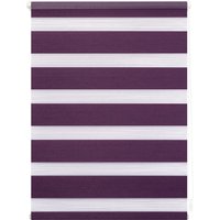 LICHTBLICK Duo Rollo Klemmfix, ohne Bohren (Brombeer, 110x150 cm)