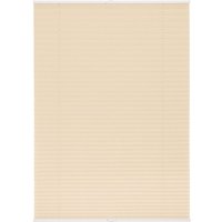 LICHTBLICK Plissee Klemmfix, ohne Bohren, verspannt (Creme, 100x130 cm)