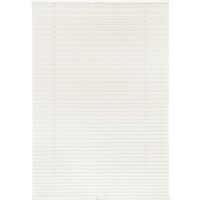 LICHTBLICK Plissee Klemmfix, ohne Bohren, verspannt (Weiß, 70x130 cm)
