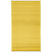 LICHTBLICK Plissee Klemmfix, ohne Bohren, verspannt (Gelb, 90x210 cm)