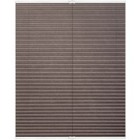 LICHTBLICK Plissee Klemmfix, ohne (Taupe, 60x210 cm)
