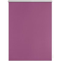 LICHTBLICK Thermo-Rollo Klemmfix, ohne Bohren, Verdunkelung (Fuchsia, 90x220 cm)