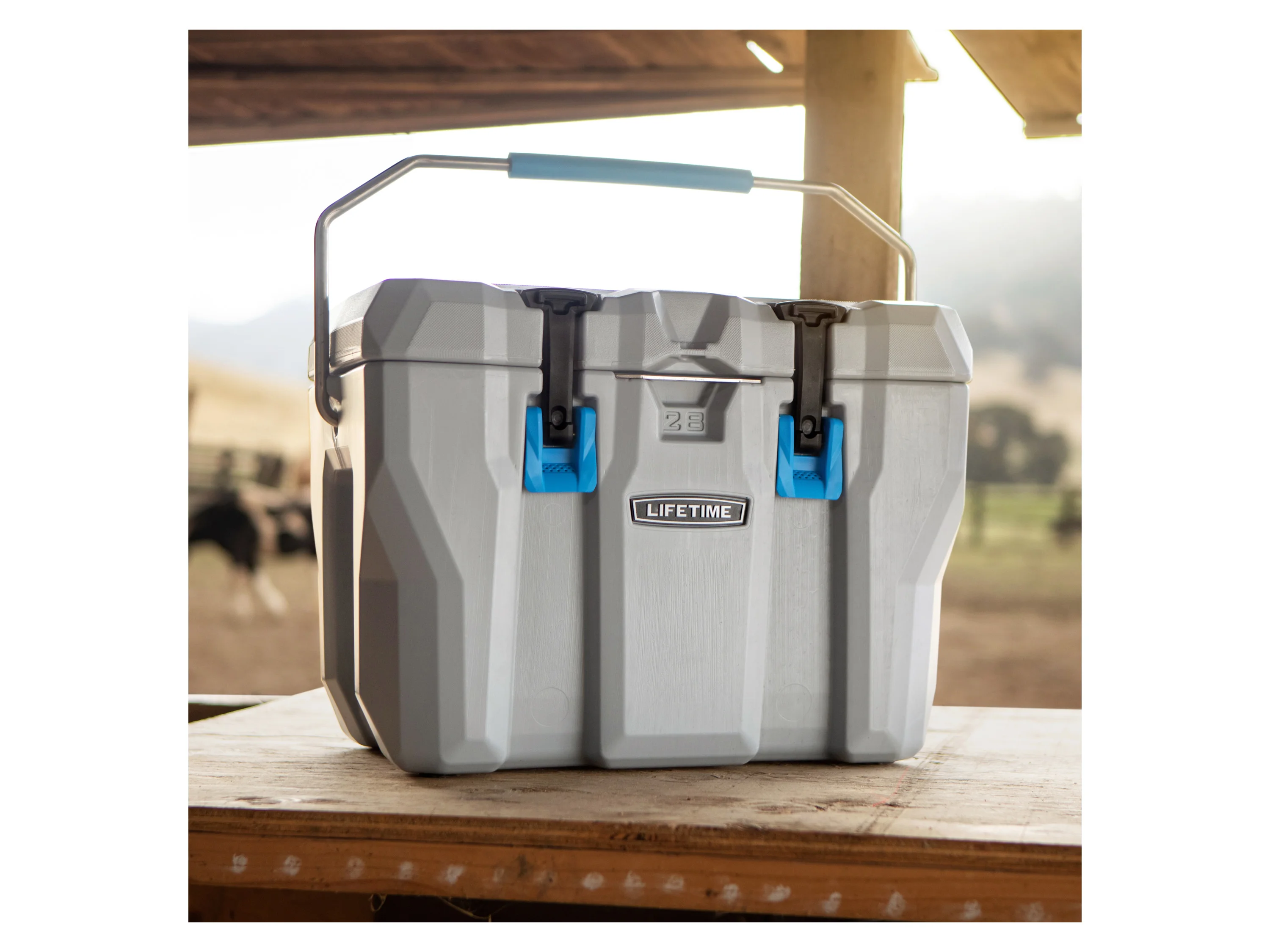 LIFETIME Kühlbox Premium (26,5 l) – Bild 2 von 4