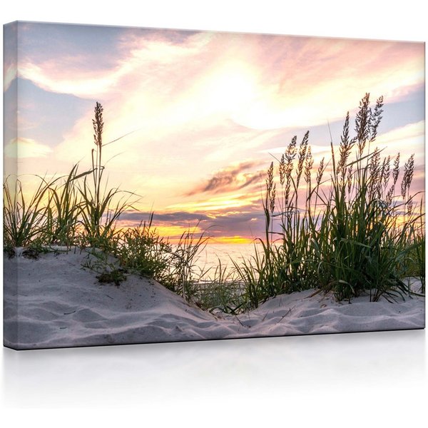 lightbox-multicolor LED-Bild Gras am Strand bei Sonnenuntergang fully lighted / 60x40cm, Leuchtbild mit Fernbedienung