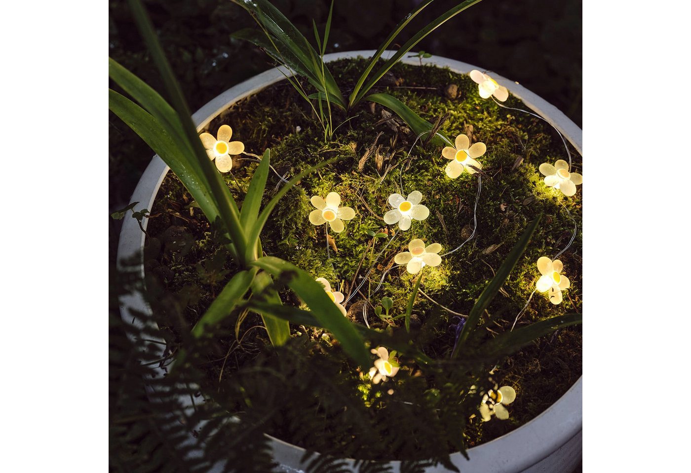 Lights4fun LED-Lichterkette 20er LED Micro Lichterkette außen Gänseblümchen – Bild 4 von 5
