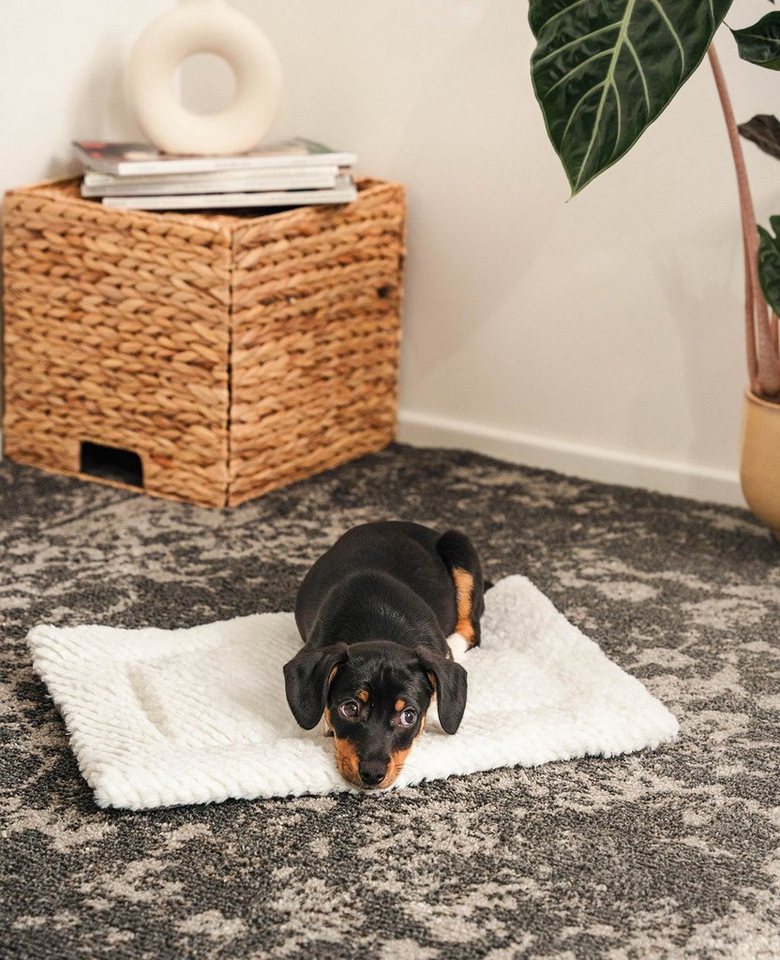 lionto Tierkissen, Kuscheldecke mit Polsterung, Wendedecke grau, Plüsch & Faux-Leinen, ideal für Sofa, Körbchen & Auto, pflegeleicht – Bild 2 von 5