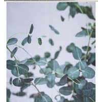 LIVARNO® Duschvorhang, 180 x 200 cm (Blätter)