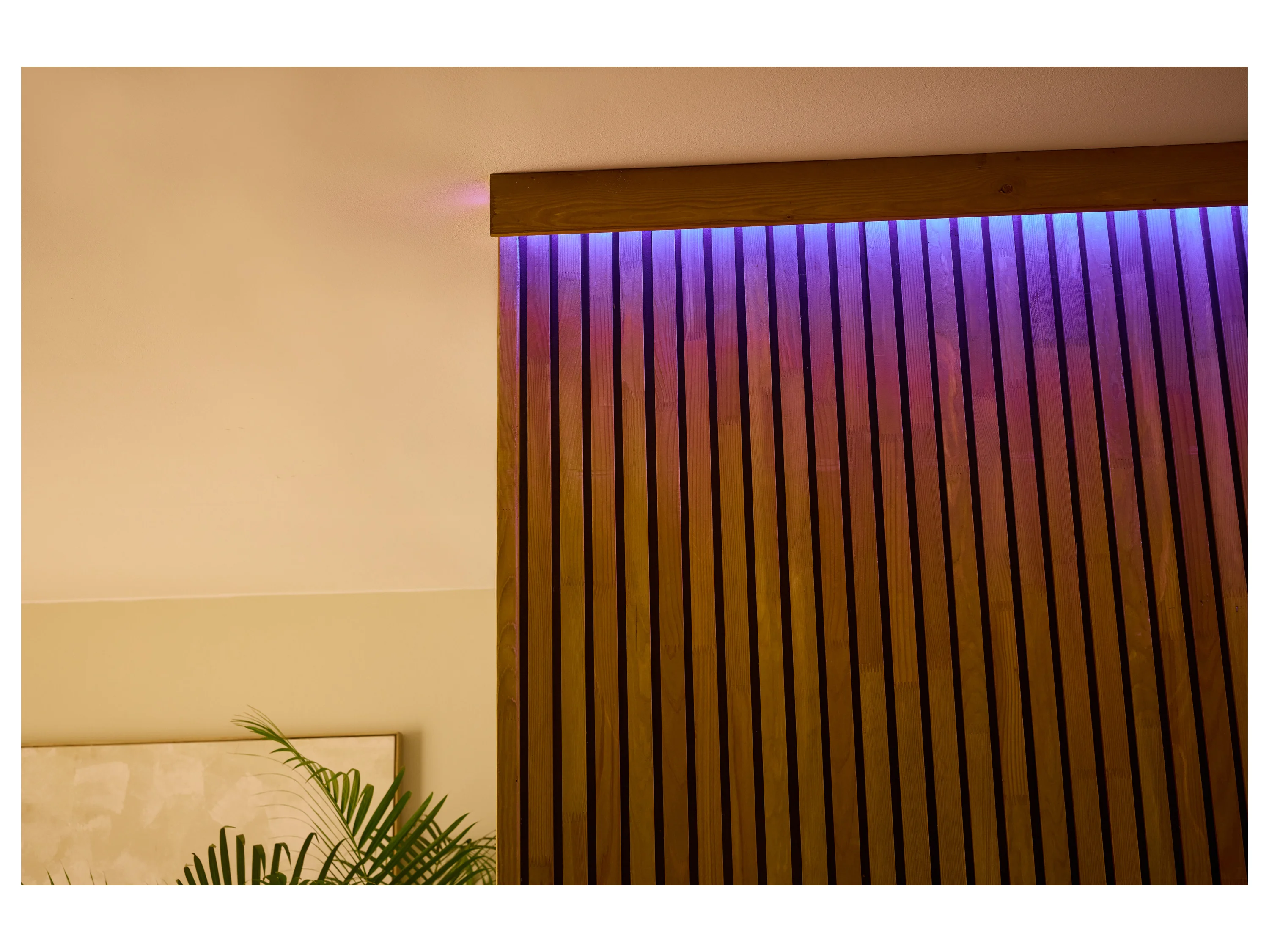 LIVARNO HOME LED-Band, 5 m, mit Farbwechsel – Bild 4 von 4