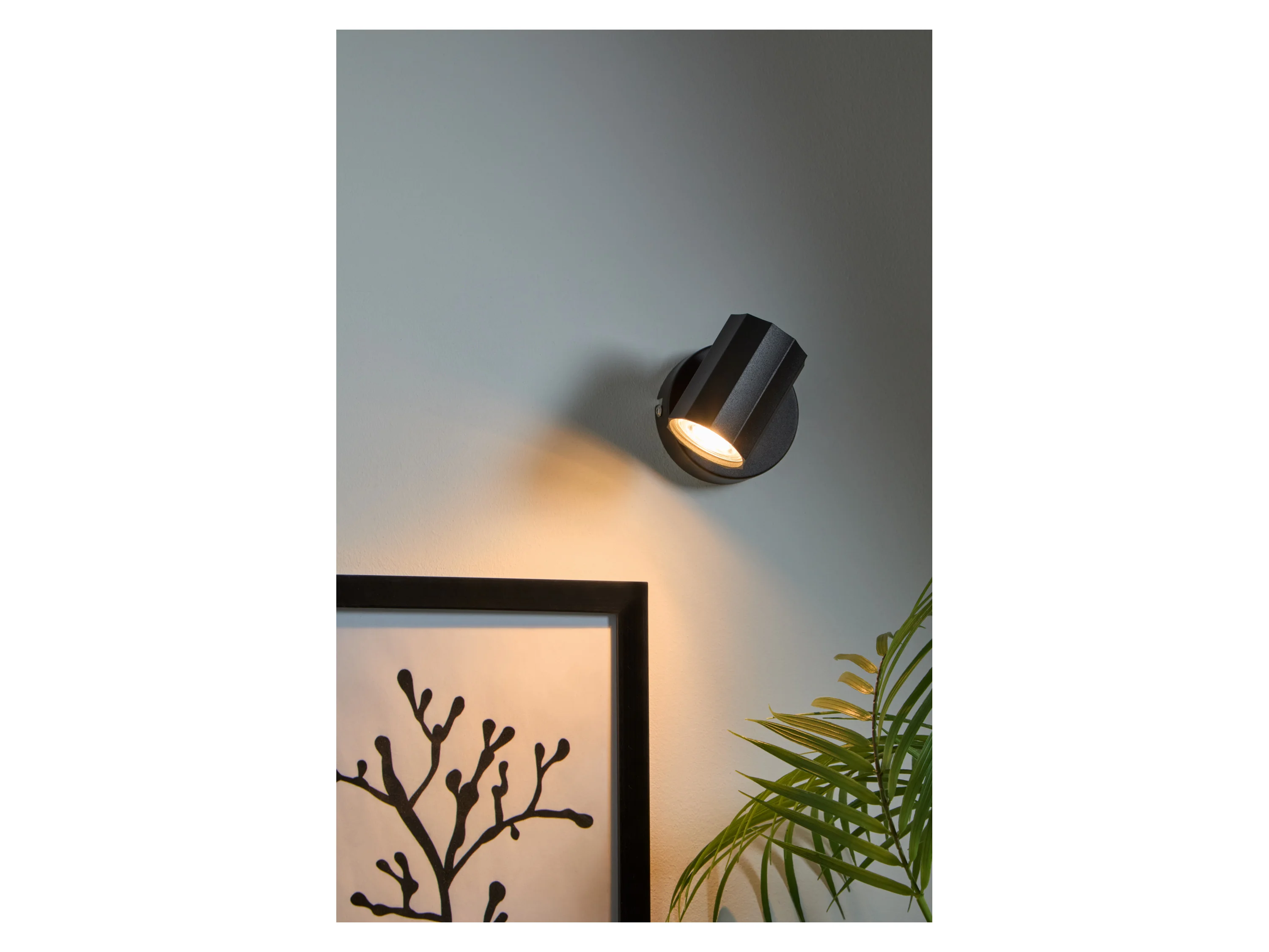 LIVARNO HOME Wand-/Deckenleuchte, neig- und schwenkbarer Spot (rund, schwarz) – Bild 3 von 4