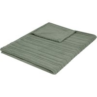 LIVARNO® Kuscheldecke, 150 x 200 cm (Grün)