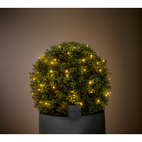 LIVARNO® LED-Solar-Lichterkette (warmweiß)