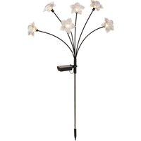 LIVARNO® LED-Solarleuchte (Blüte)