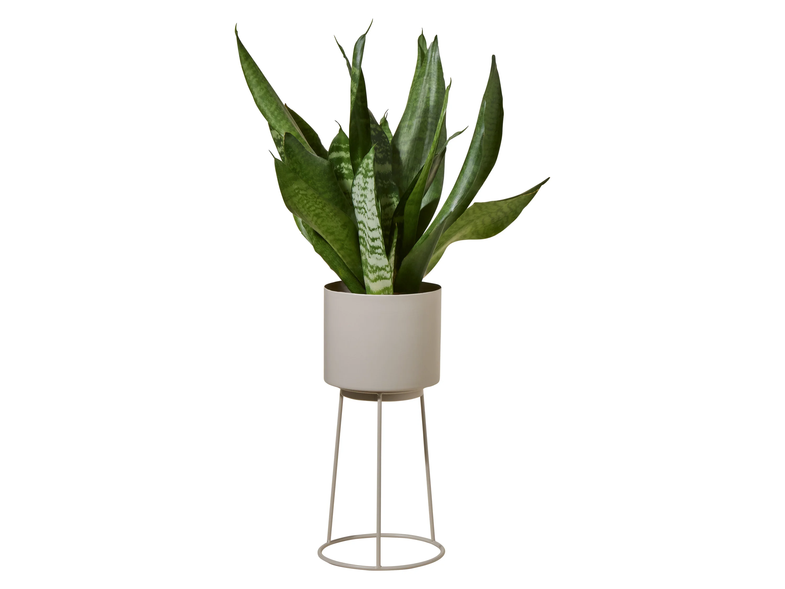 LIVARNO® Planztopf mit Gestell, Ø 13 cm (Beige) – Bild 2 von 4