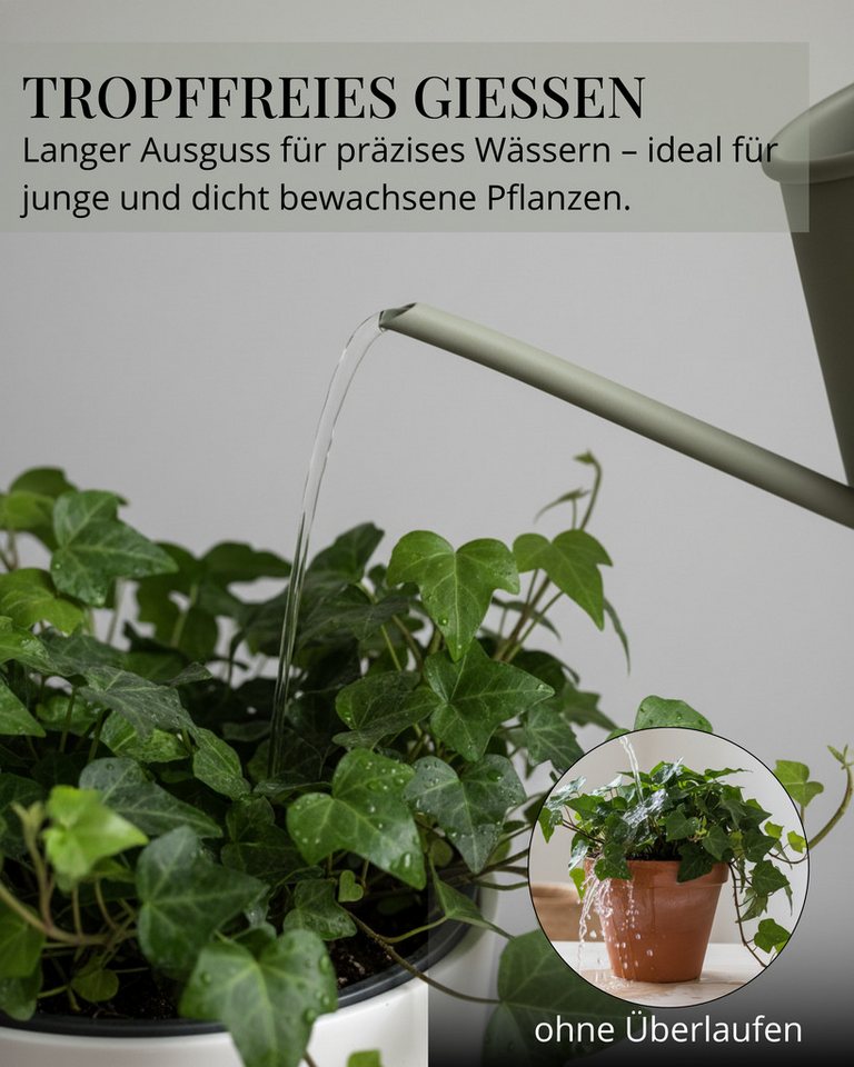 LIVLIG Gießkanne 1 Liter, Gießkanne klein, Gießkanne für Zimmerpflanzen (L28,5 × B10,5 × H12 cm), mit langem Ausguss für Zimmerpflanzen, Balkonpflanzen & Kräute – Bild 3 von 5