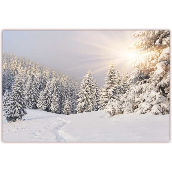 LYSCO Poster XXL Plakat Winter, Winterlandschaft, Schnee, Tiefverschneite Winterlandschaft mit Bäumen welche unter der Schneelast ächzen, die Sonne strahlt vom 