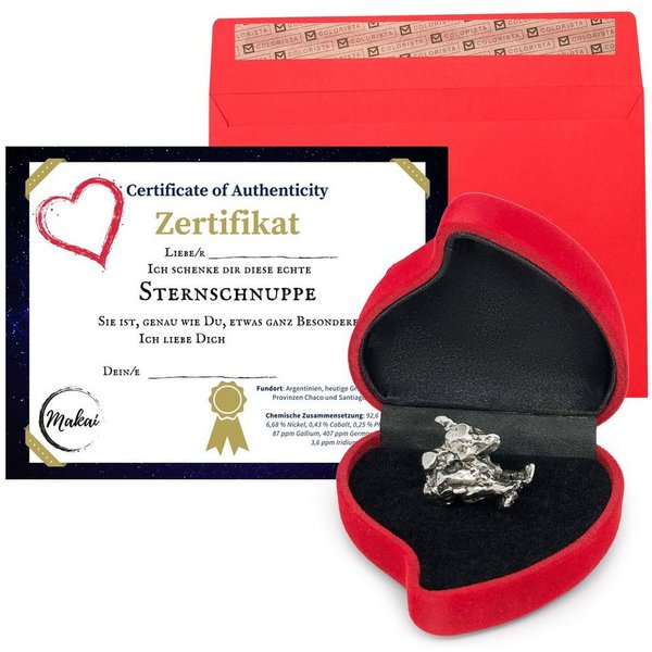 Makai Edelstein Eisenmeteorit Sternschnuppe echter Meteorit, ca. 15g