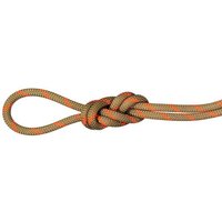 MAMMUT 8.0 Alpine Dry Rope, Größe 50 in Braun
