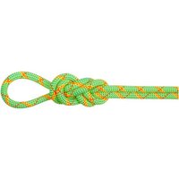 MAMMUT Bergseil 8.0 Alpine Core Protect Dry Rope 50m, Größe 50 in Grün