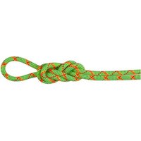 MAMMUT Bergseil 8.0 Alpine Core Protect Dry Rope 60m, Größe 60 in Grün