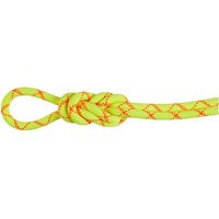 MAMMUT Bergseil 9.5 Alpine Core Protect Dry Rope 60m, Größe 60 in Gelb