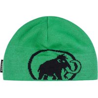 MAMMUT Herren Beanie Tweak, Größe ONE SIZE in Grün