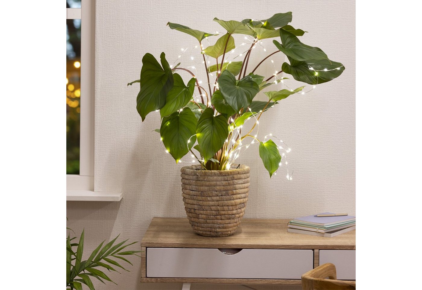 MARELIDA LED-Lichterkette LED Draht Lichtbündel Pflanzenbeleuchtung Blumenstrauß 8 Stränge 100cm, 160-flammig – Bild 2 von 5