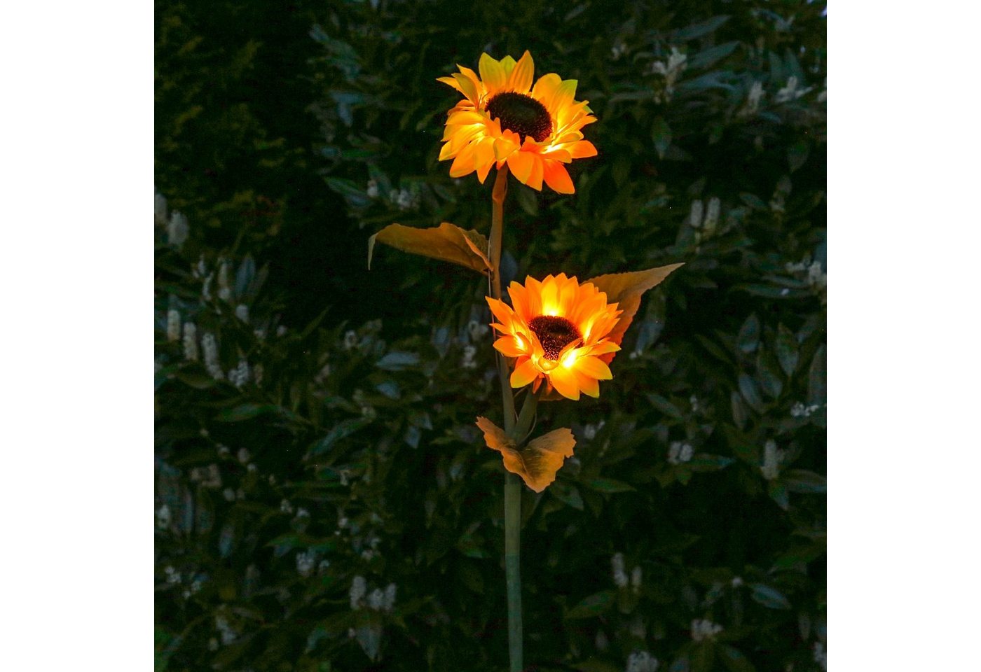 MARELIDA LED Solarleuchte LED Solar Gartenstecker Sonnenblume Solarstab Garten Beetstecker, LED Classic, warmweiß (2100K bis 3000K) – Bild 4 von 5