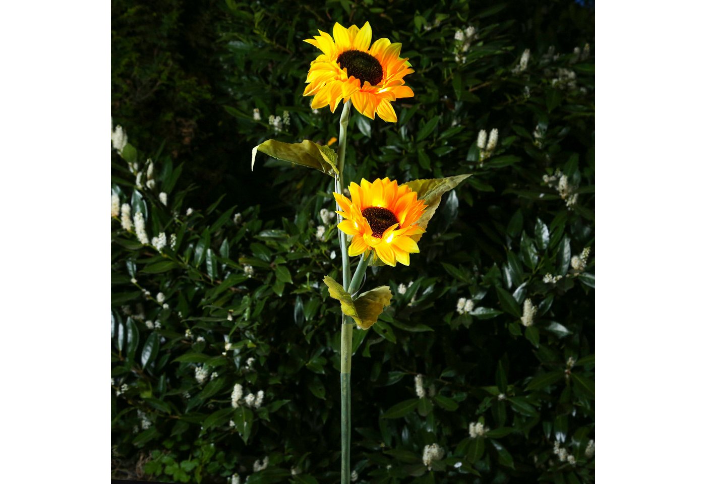 MARELIDA LED Solarleuchte LED Solar Gartenstecker Sonnenblume Solarstab Garten Beetstecker, LED Classic, warmweiß (2100K bis 3000K) – Bild 5 von 5